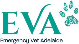 Emergency Vet Adelaide